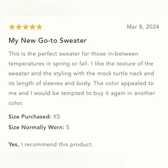 NWT Size S P2P 26inchThe NeedIt Oversized Mock Neck Sweater - Picture 8 of 16